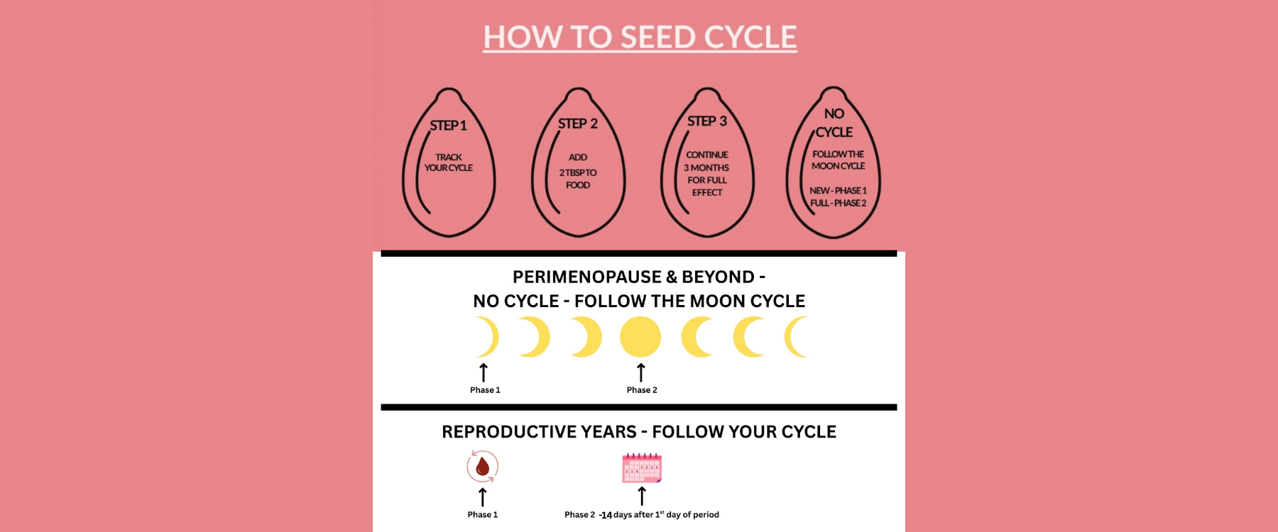 seed cycle infographice